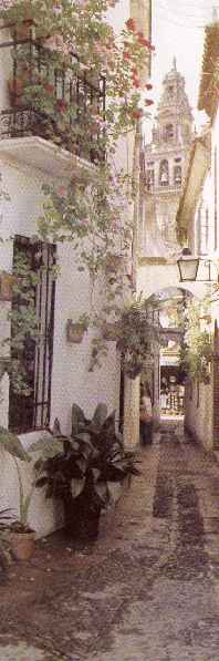 Judería de Córdoba